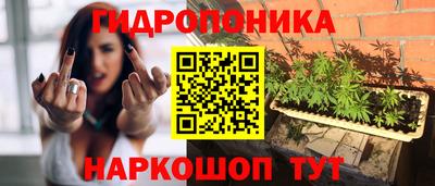шишки Тара