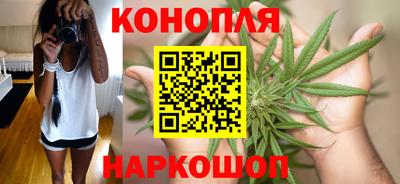 шишки Тара