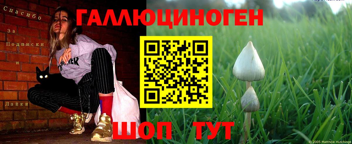 Галлюциногенные грибы Magic Shrooms Усинск